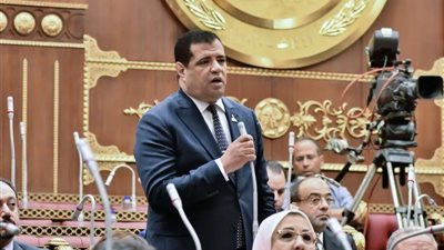 عضو بالشيوخ: حزمة زيادة الأجور تعكس التزام الدولة بالحماية الاجتماعية