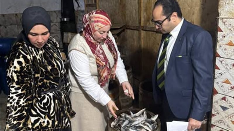 حملات تفتيشية من