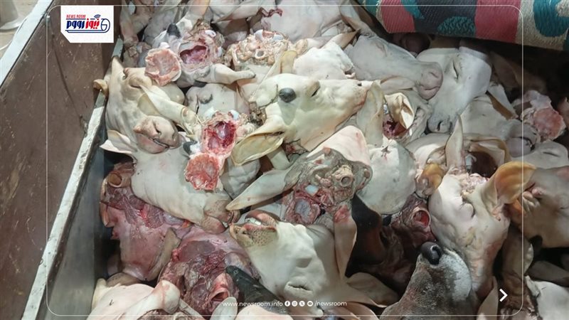 المضبوطات 