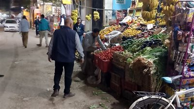 محافظ أسيوط يشدد على تكثيف حملات إزالة الإشغالات والتعديات 