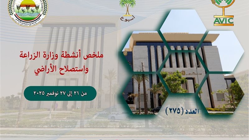 انفوجراف