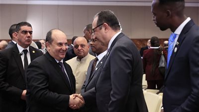 الشيمي: العلاقات المصرية الجزائرية تاريخية وراسخة.. وحريصون على تعزيز التعاون