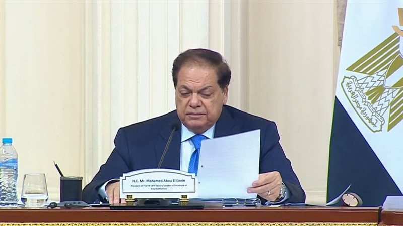 النائب محمد أبو العينين