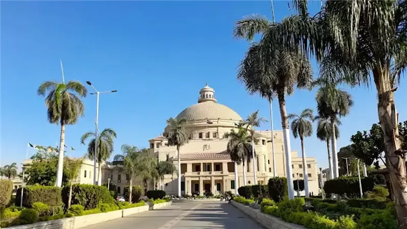 وظائف جامعة القاهرة