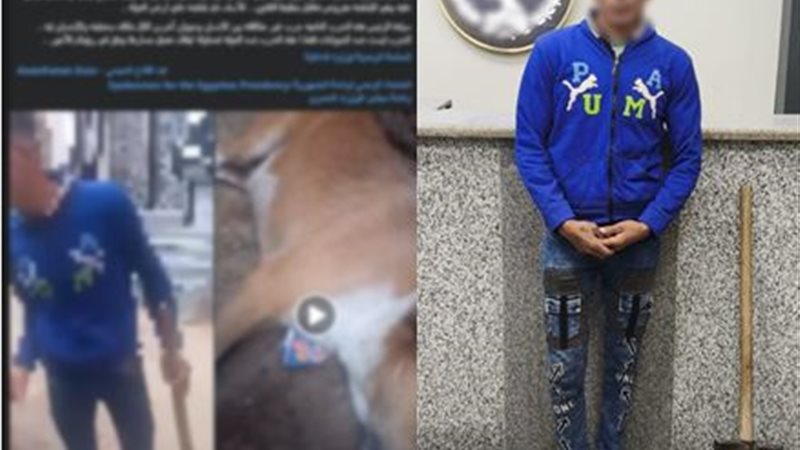 المتهم