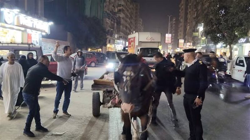 محافظة الجيزة 