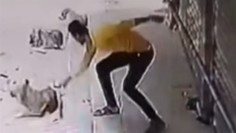 المتهم