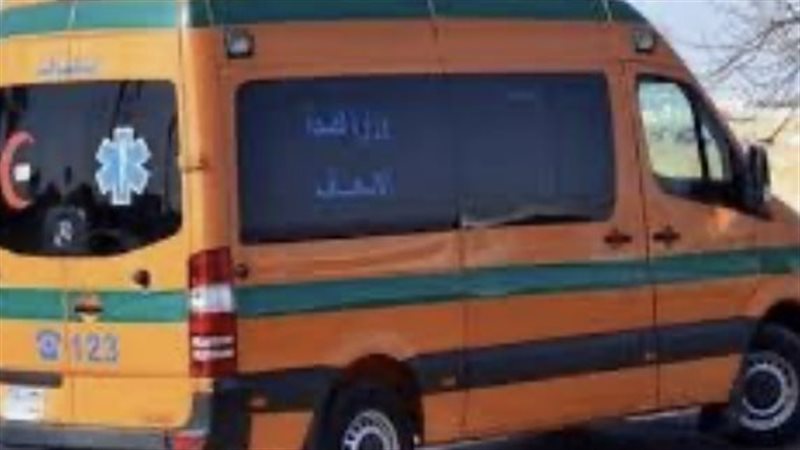 ارشيفية 