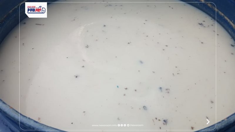 صحة المنيا