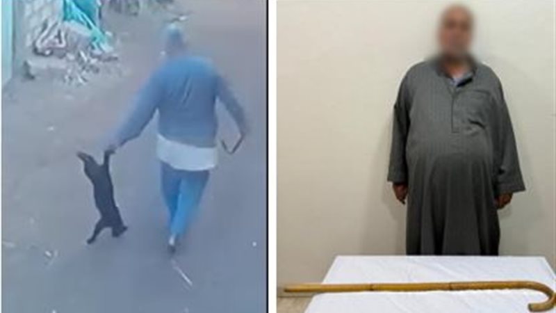 المتهم