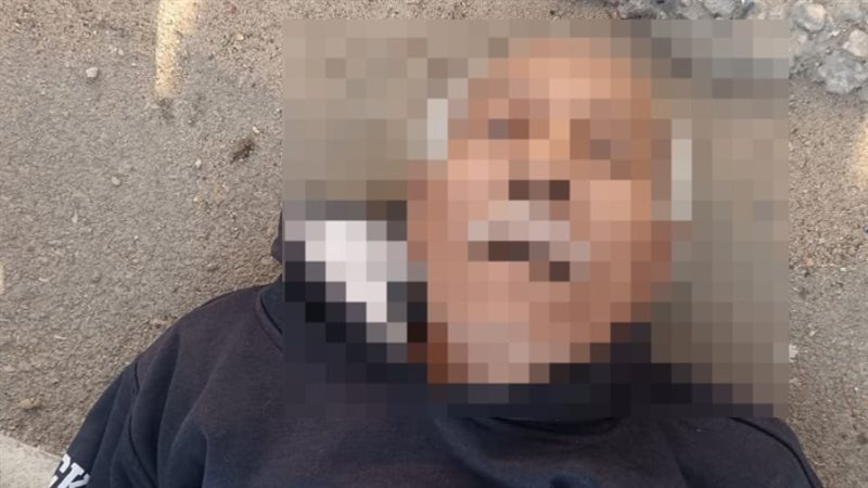 المسن