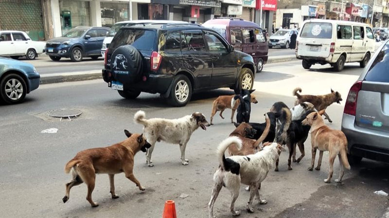 تعبيرية
