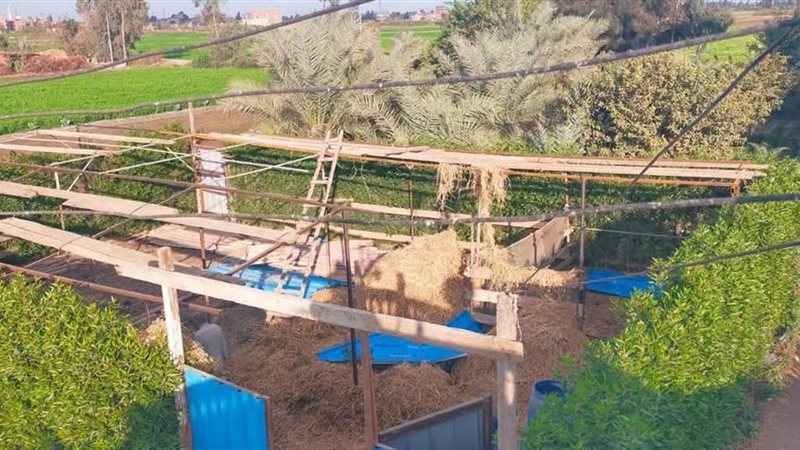 بناء