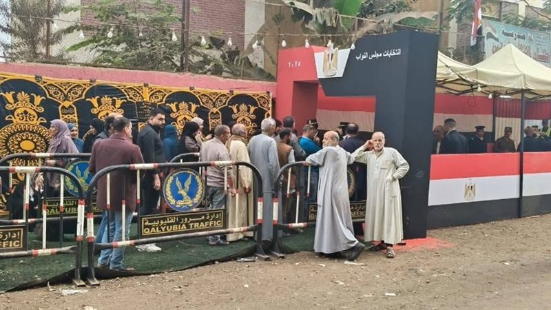 قنا لم ينجح احد 