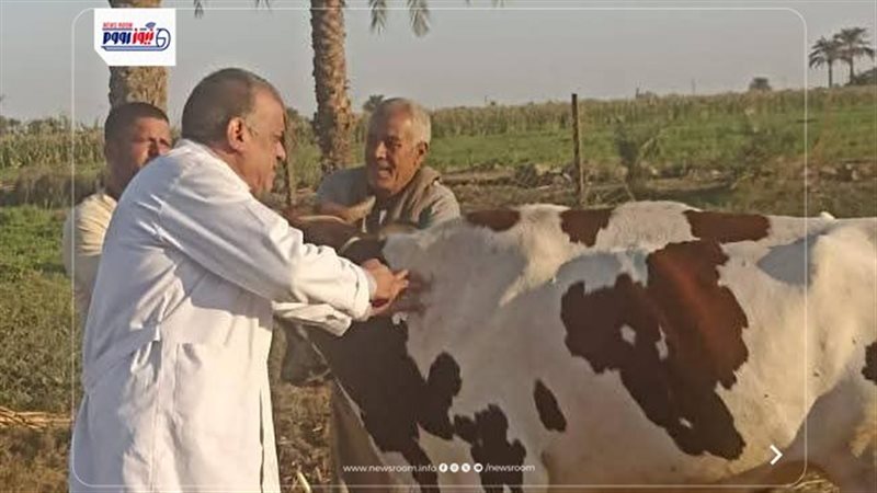 ارشيفية