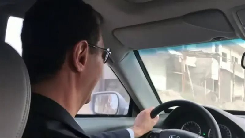 الأسد 