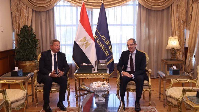 وزير الاتصالات يلتقي