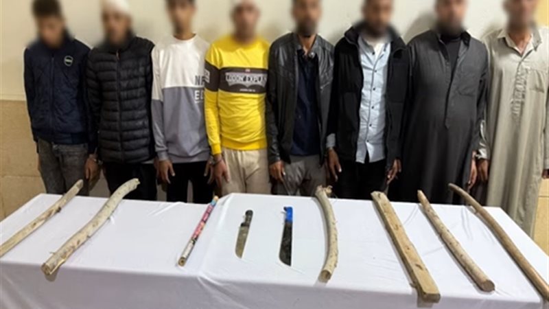 المتهمون