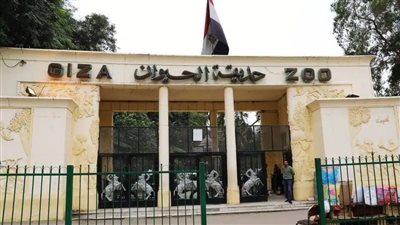 مدير حدائق الحيوان والأسماك ترفع درجة الاستعداد لاستقبال زوار عيد الأضحى