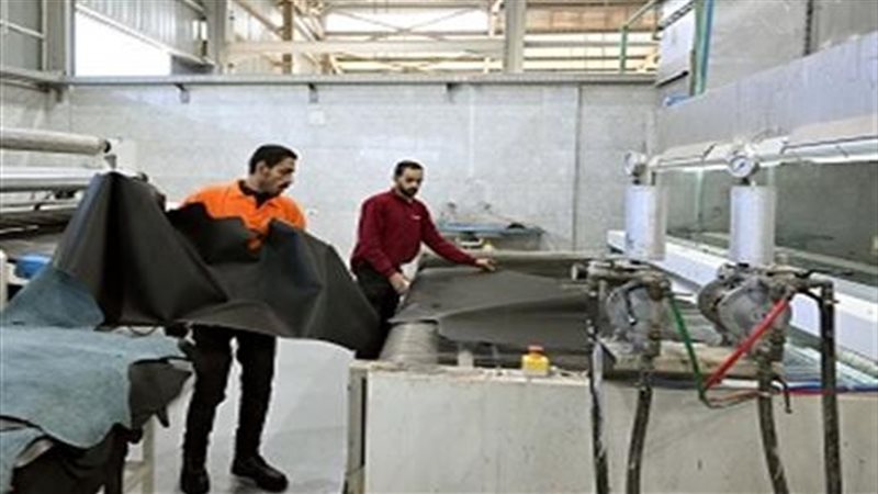 صناعة الجلود 