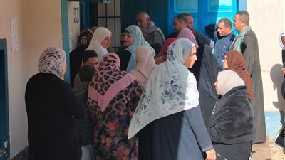 التنسيقية: توافد الناخبين فى كوم حمادة بالبحيرة للتصويت بانتخابات النواب