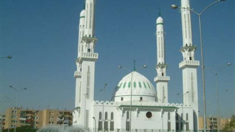 ارشيفية