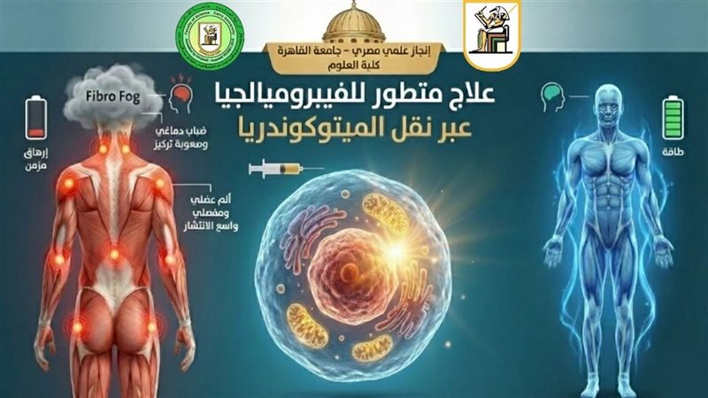الإنجاز 