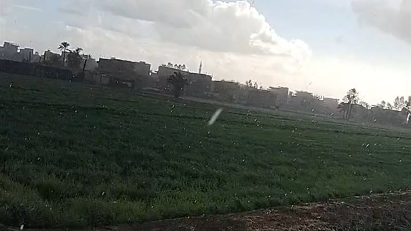 الطقس