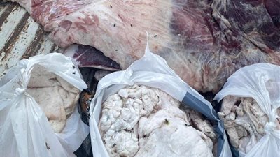 حملة بيطرية مكبرة تضبط لحوما غير صالحة وتواصل جهود حماية صحة المواطنين