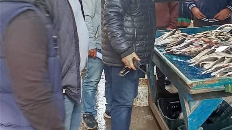 جانب من الحملة 
