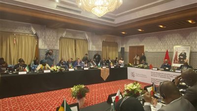 وزير الاستثمار يؤكد على تعزيز الحوار الإفريقي ودعم الأولويات التنموية للقارة 