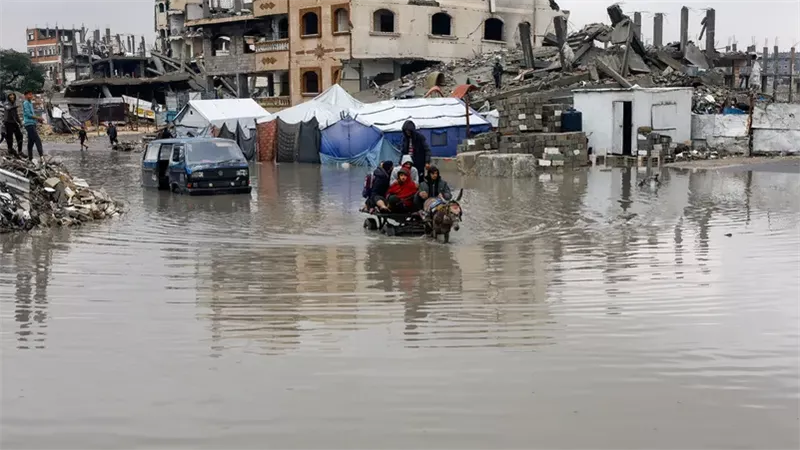 غزة 