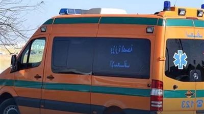 بالأسماء.. إصابة 14 شخصا في اصطدام ميكروباص بسيارة ملاكى  بطريق شبرا أوسيم