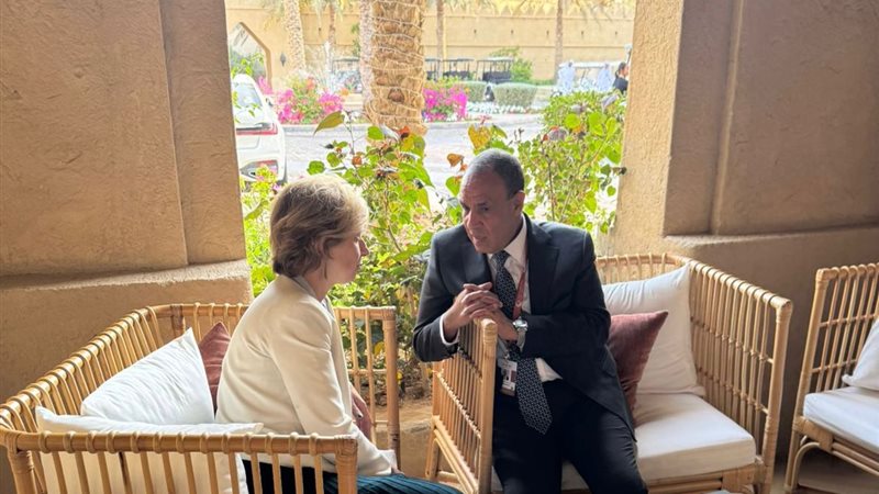 وزير الخارجية يلتقي