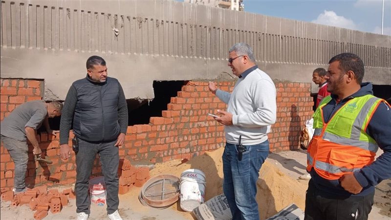 محافظة الجيزة 