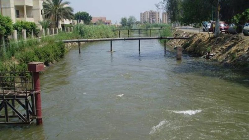 ترعة ناصر 