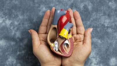 تحديد طريقة لتقليل خطر الوفاة بسبب أمراض القلب بنسبة 58%