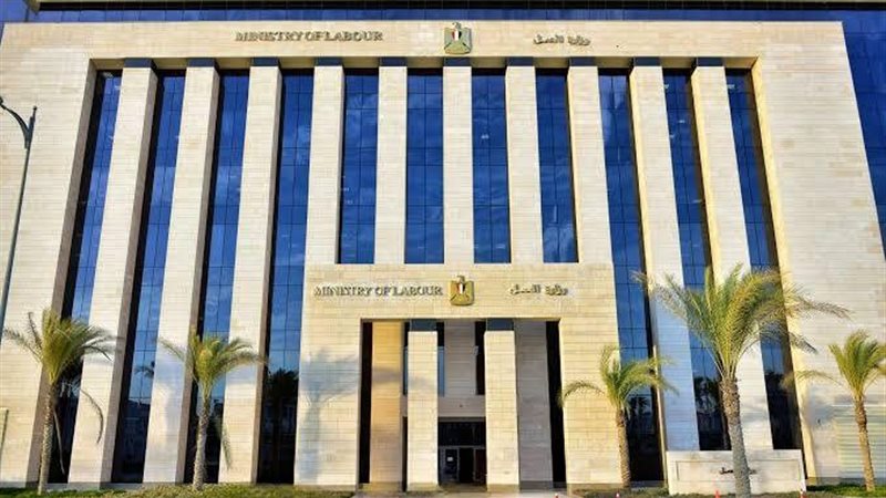 وزير العمل 