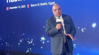 وزير الكهرباء: استغلال التقنيات والشراكات لضمان أمن الطاقة المتجددة