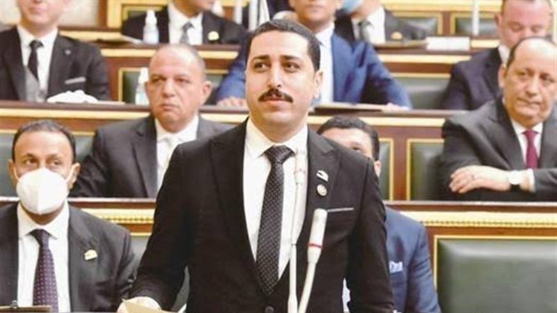 النائب طه الناظر
