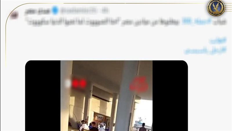 الفيديو