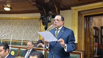 عربية النواب: الإجماع العربي على «فهمي» يعكس الثقة في الدبلوماسية المصرية