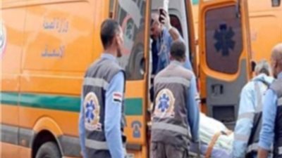 بالأسماء.. إصابة 7 أشخاص إثر إصطدام سيارتين بصحراوى البحيرة