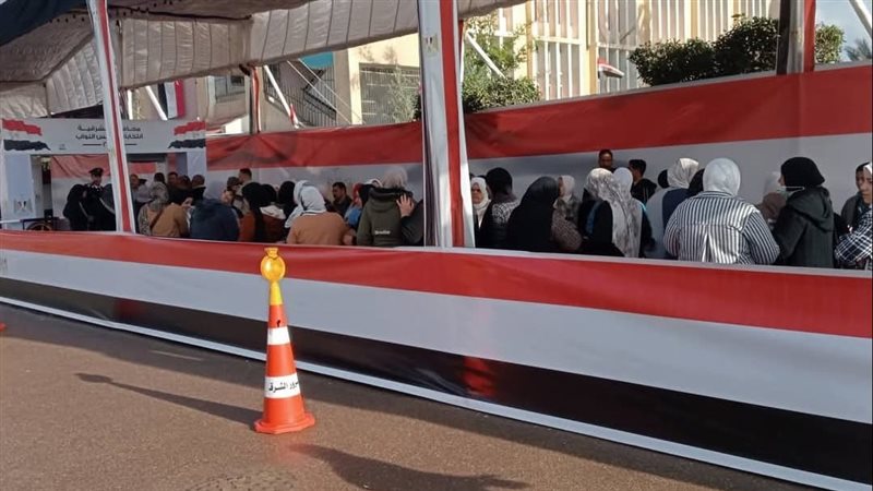 الانتخابات