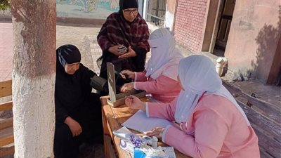 انتخابات مجلس النواب.. توافد الناخبين أمام لجان الدائرة الأولى بكفرالشيخ  