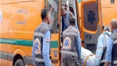 بسبب خلافات علي ثمن تليفون محمول مقتل شاب علي يد صديقه بالبحيرة