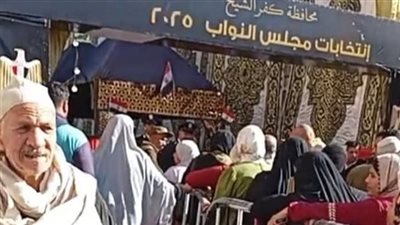 المؤشرات الأولية لجولة الإعادة بكفر الشيخ: محمد خليفة يتصدر فرز 100 لجنة بقلين