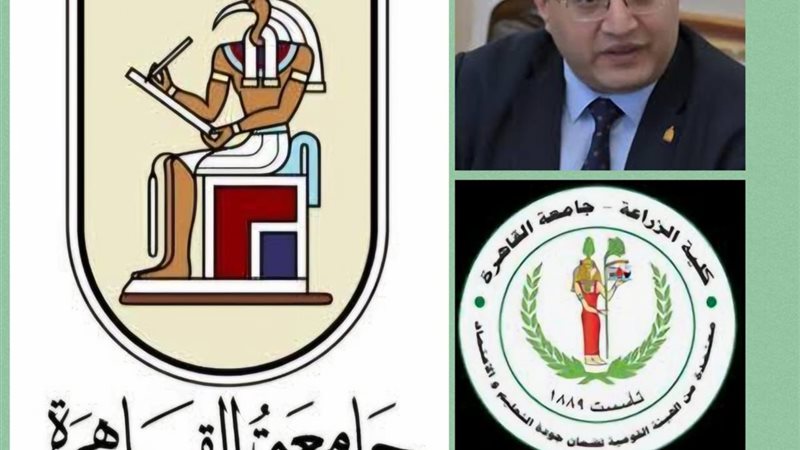 بعد توقف دام ثماني