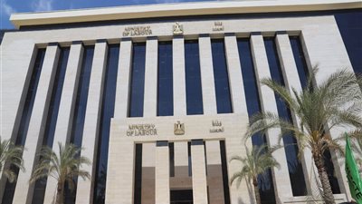 190 فرصة عمل متنوعة لأبناء السويس بشركة «سكاي لوجستيك»