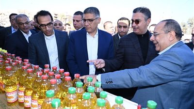 من المنتج للمستهلك.. 22 شركة في سوق اليوم الواحد بحدائق الأهرام|تفاصيل